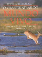 Imagem de capa local