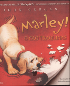 Imagem de capa local