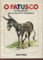 Imagem de capa local