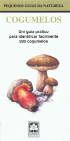 Imagem de capa local