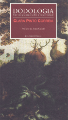 Imagem de capa local