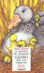 Imagem de capa local