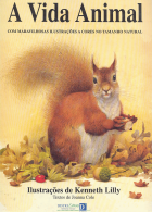 Imagem de capa local