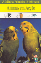 Imagem de capa local