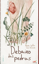 Imagem de capa local