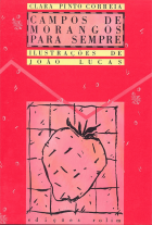 Imagem de capa local