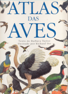 Imagem de capa local