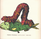 Imagem de capa local