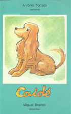 Imagem de capa local