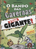 Imagem de capa local